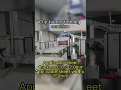 PLC 제어 분해 가능한 재료의 진공 열형조각 기계 최대 형성 깊이 180mm