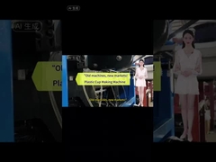 고효율 및 에너지 절약 일회용 플라스틱 판 및 컵 제조 기계