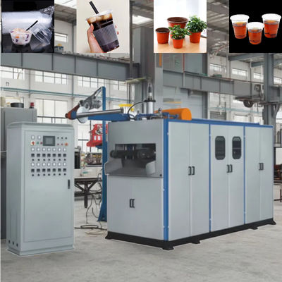 Automatic Plastic Thermoforming Machine for PP PET PVC Food Containers with 4100*1500*2200mm Dimensions